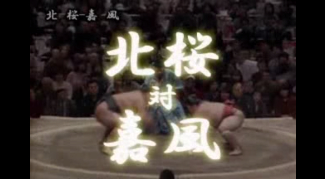 the real sumo fighting