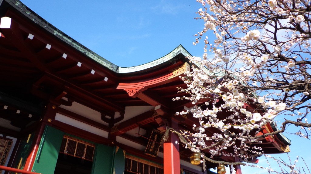 Kameido tenjin Ume festival