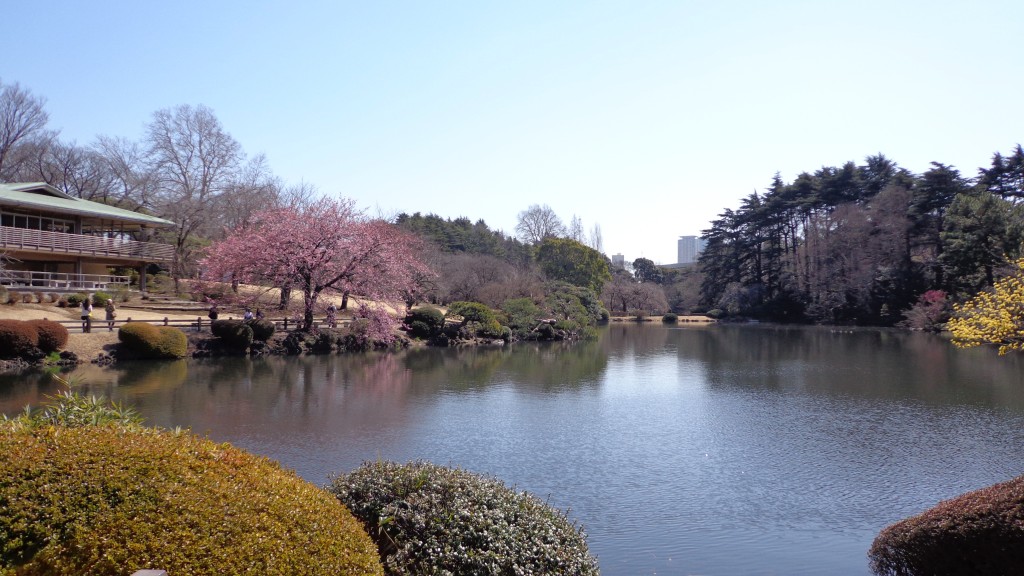 Shinjuku gyoen