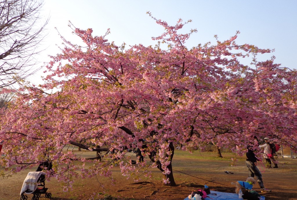 Yoyogi paark