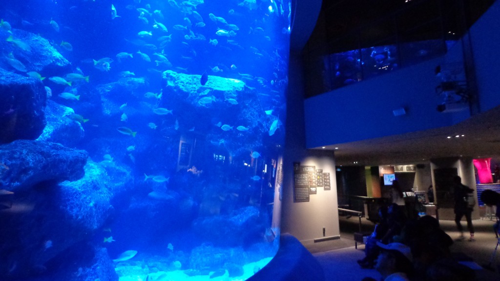 Sumida aquarium